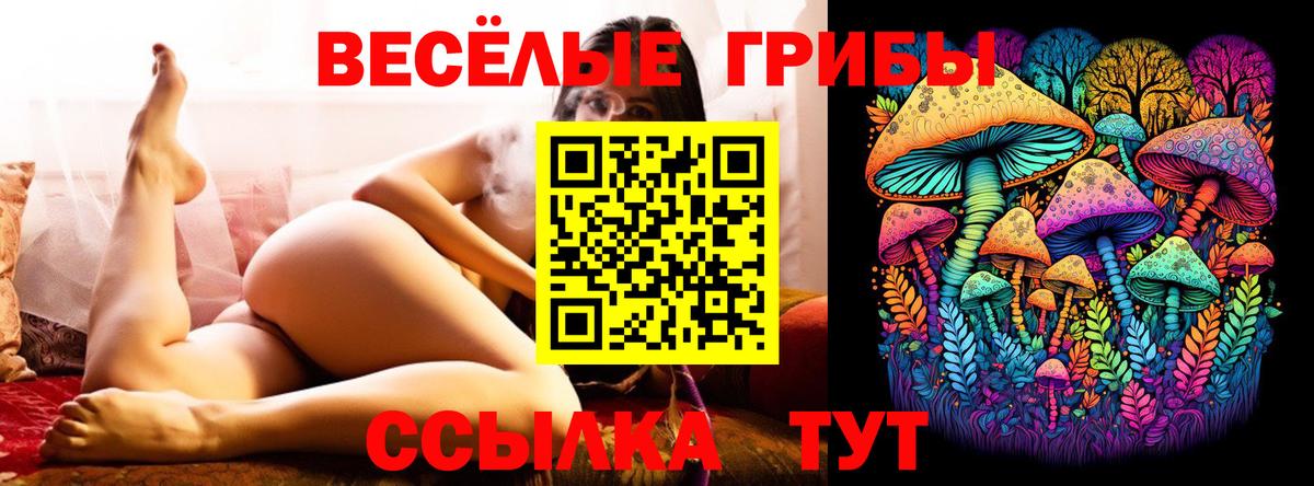 Псилоцибиновые грибы Cubensis Ликино-Дулёво