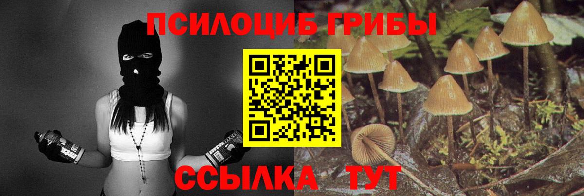 Ликино-Дулёво  Псилоцибиновые грибы Cubensis  Вход с VPN 